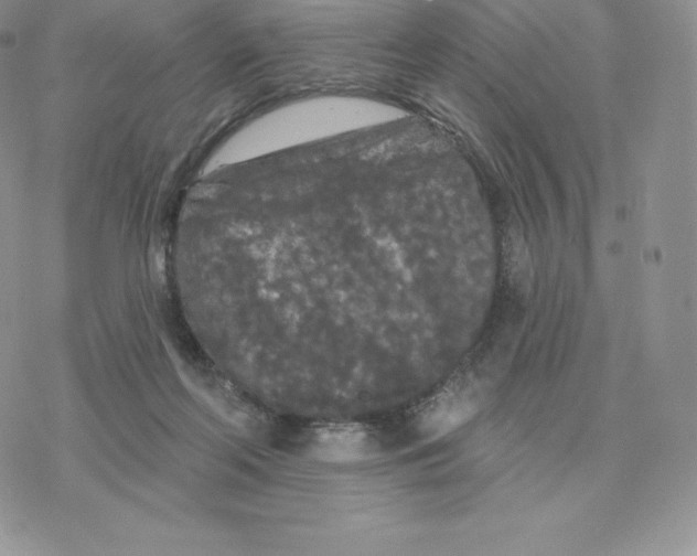 X0000077320214200611171750