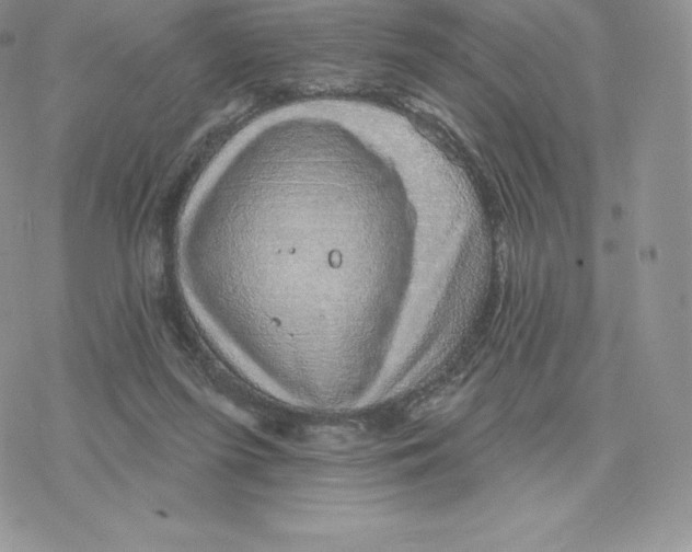 X0000077320215200611171750