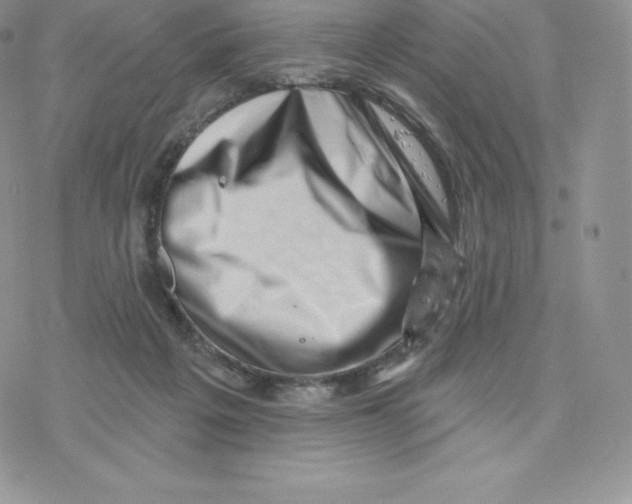 X0000077320217200611171750