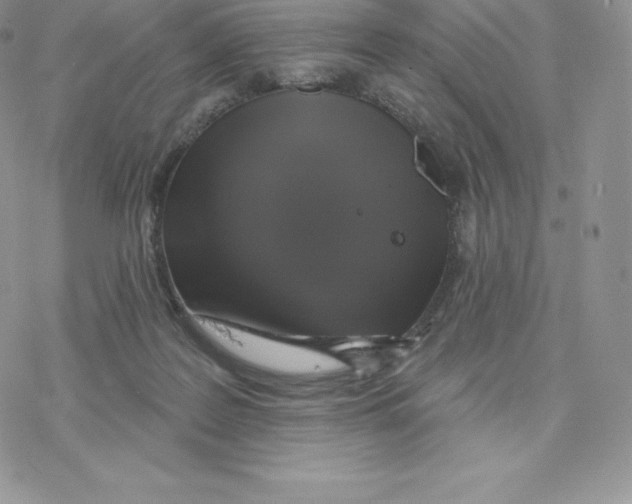 X0000077320219200611171750