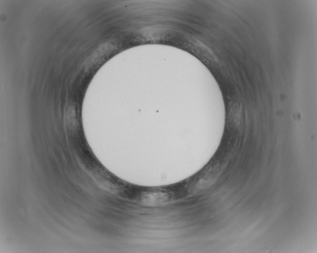 X0000077320220200611171750