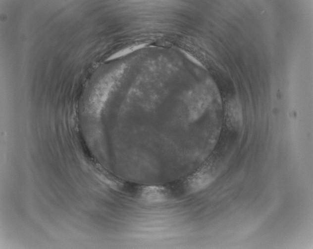 X0000077320222200611171750