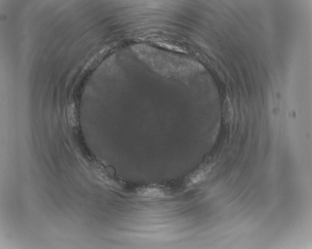 X0000077320224200611171750