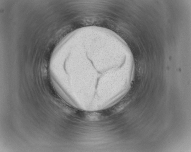 X0000077320226200611171750