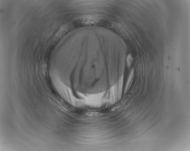 X0000077320227200611171750