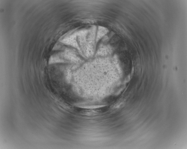 X0000077320229200611171750