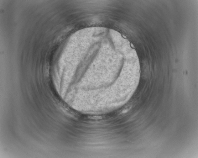 X0000077320230200611171750