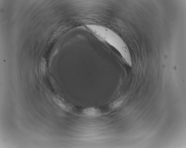 X0000077320231200611171750