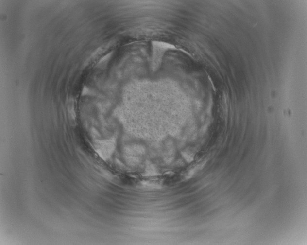 X0000077320232200611171750