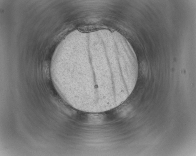 X0000077320234200611171750