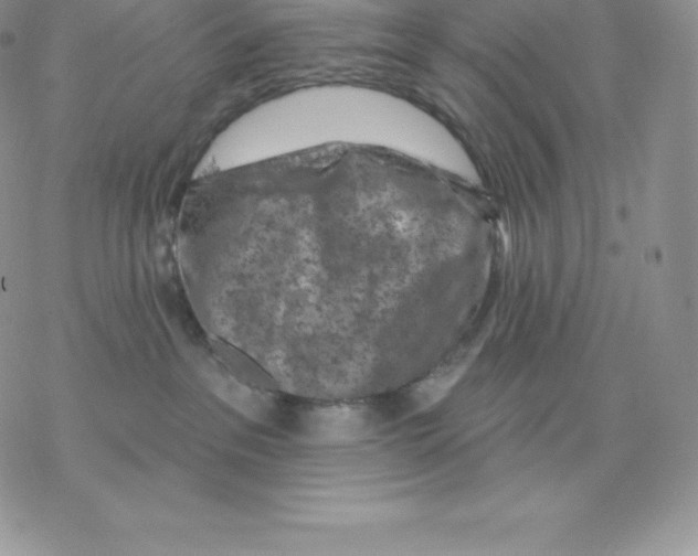 X0000077320237200611171750