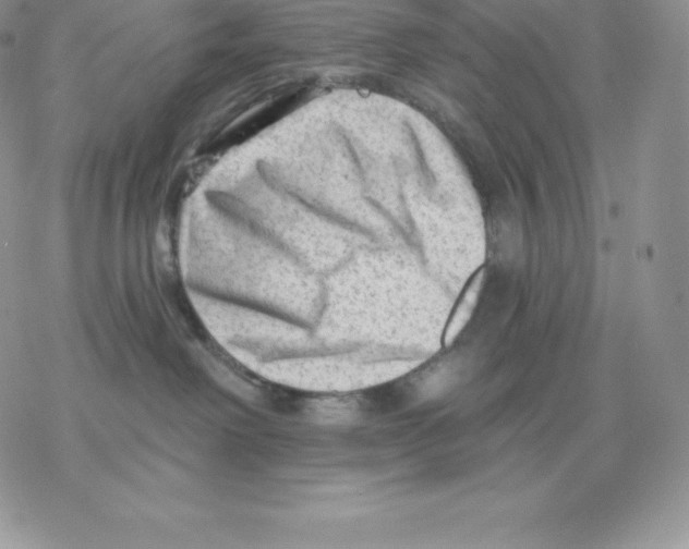 X0000077320238200611171750