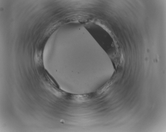 X0000077320239200611171750