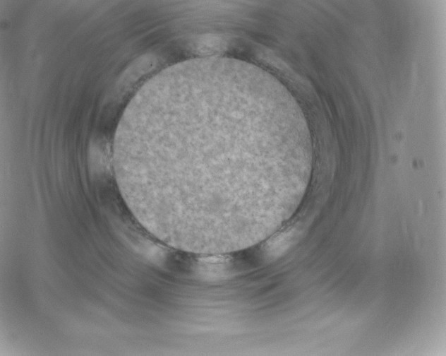 X0000077320240200611171750