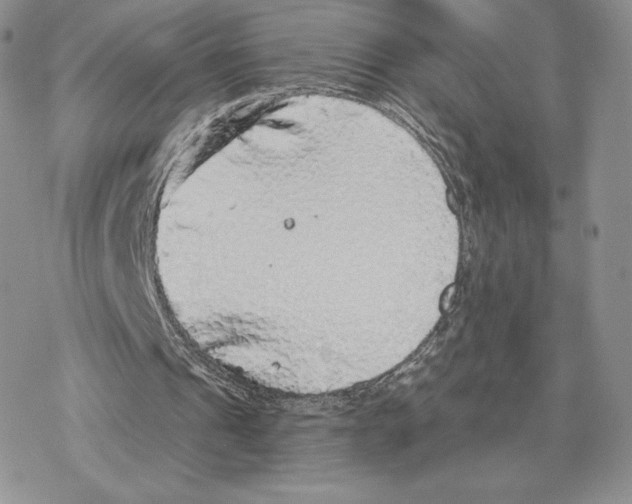 X0000077320241200611171749