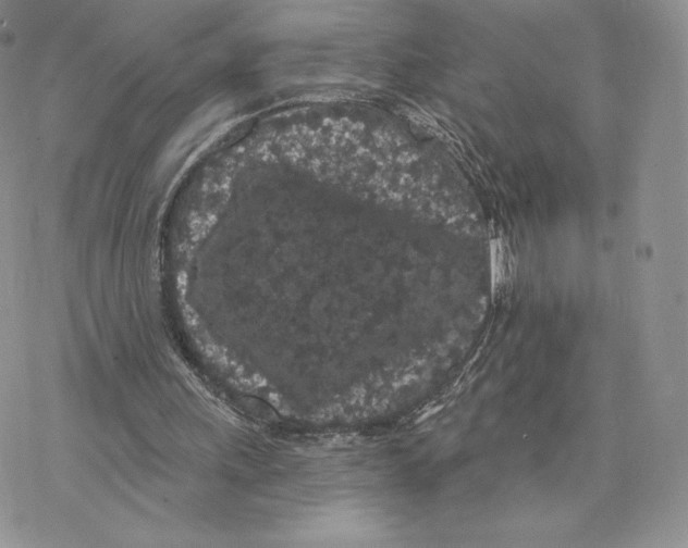 X0000077320243200611171749