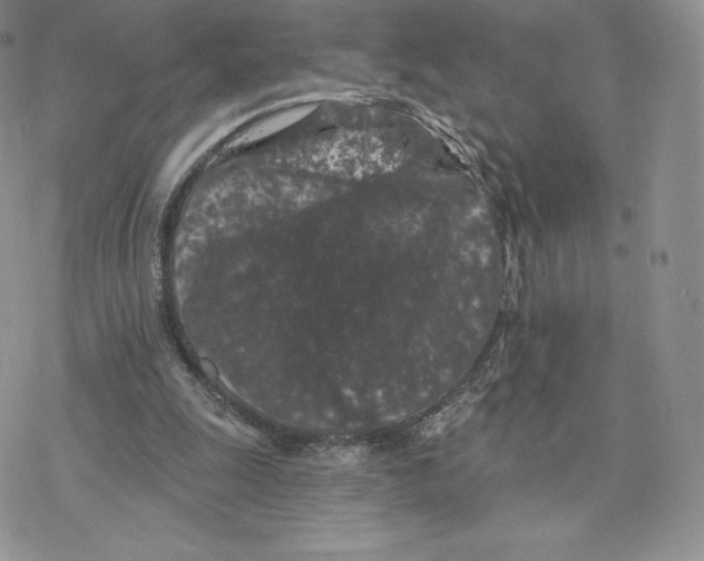 X0000077320247200611171749