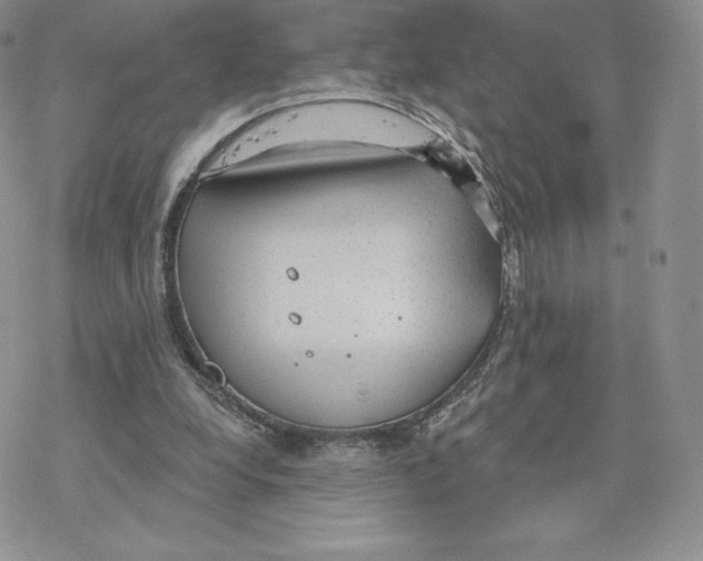 X0000077320248200611171749