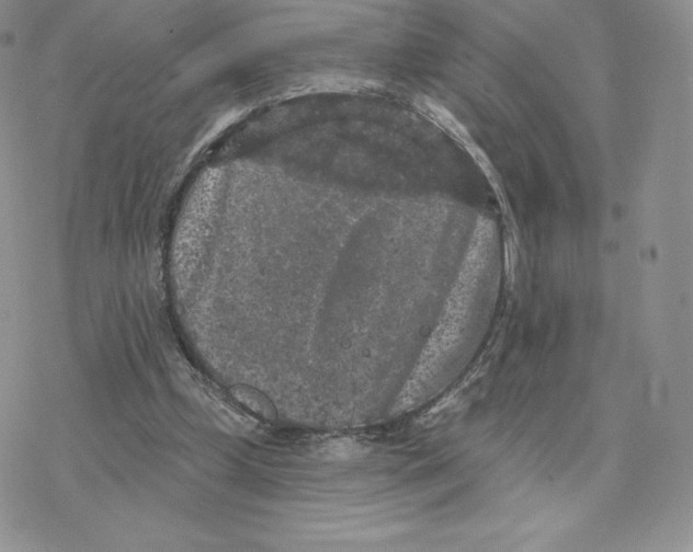 X0000077320249200611171749