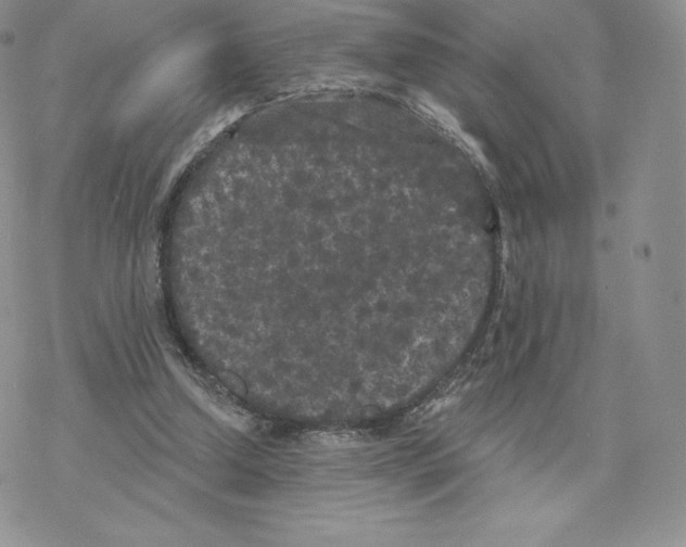 X0000077320250200611171749