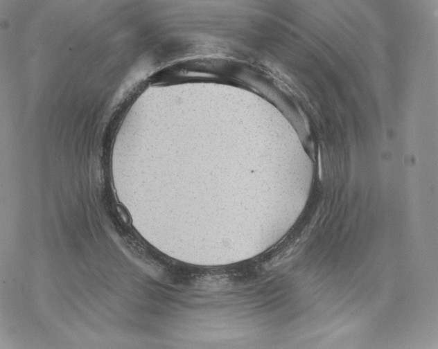 X0000077320252200611171749