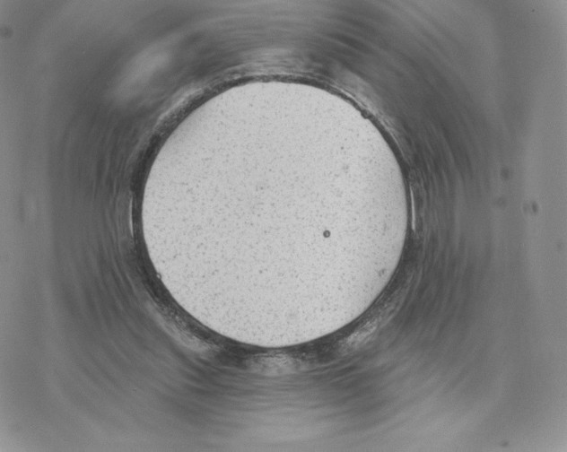 X0000077320253200611171749