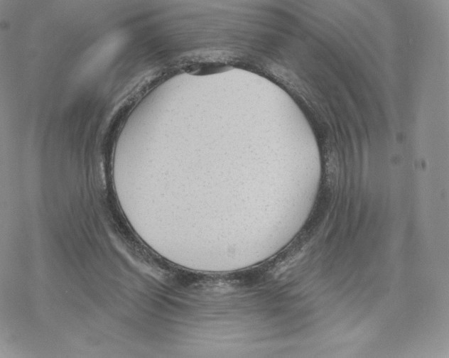 X0000077320254200611171749