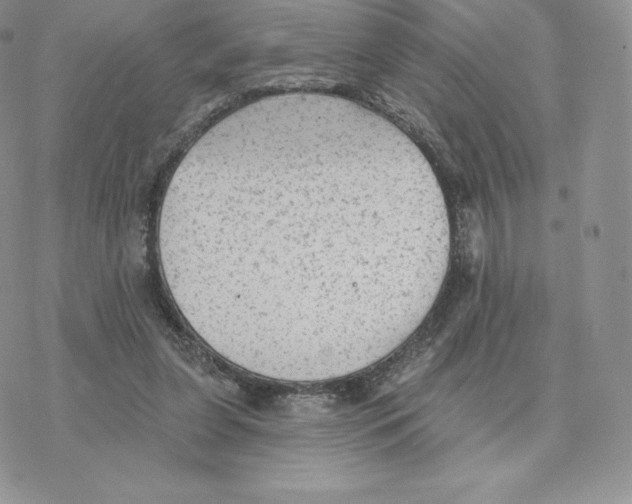 X0000077320255200611171749