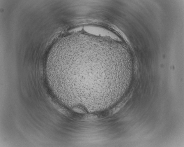 X0000077320257200611171749