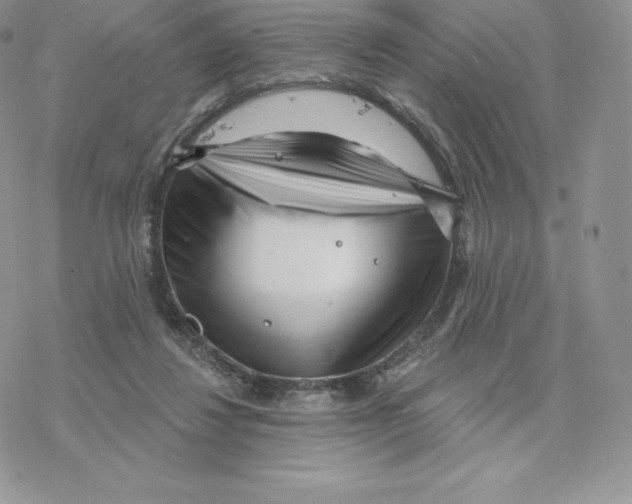 X0000077320260200611171750