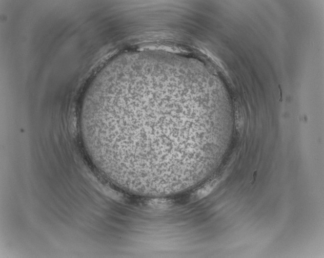 X0000077320261200611171750