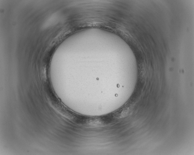 X0000077320262200611171750