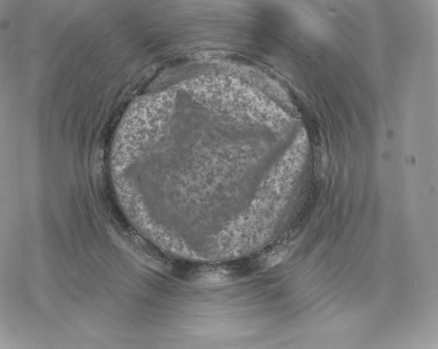 X0000077320263200611171750