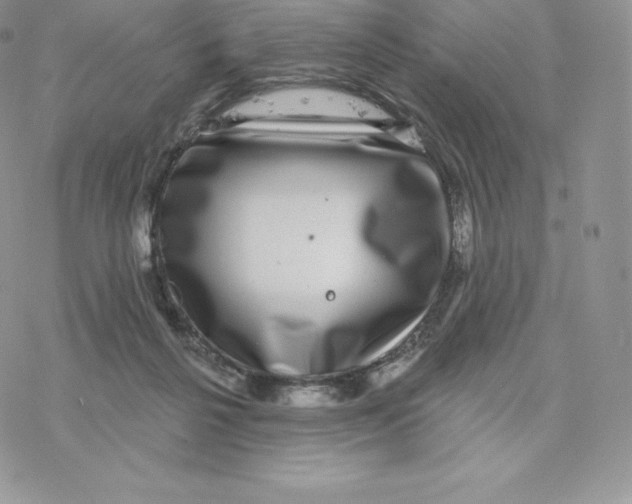 X0000077320264200611171750