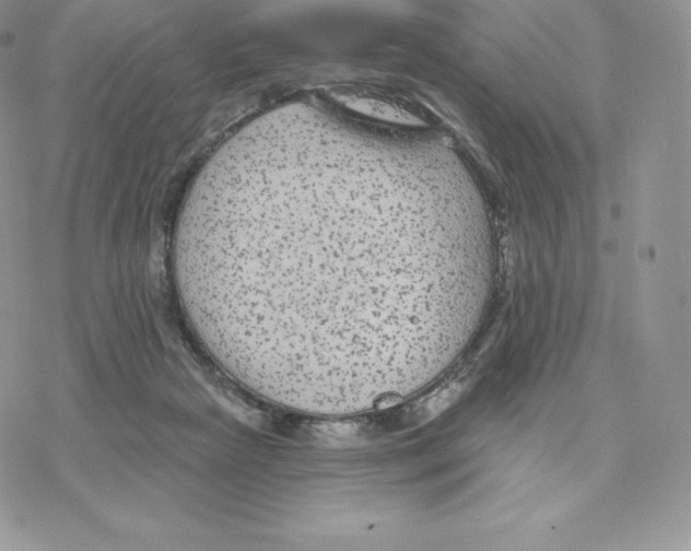 X0000077320265200611171750