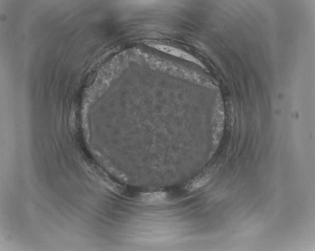 X0000077320266200611171750