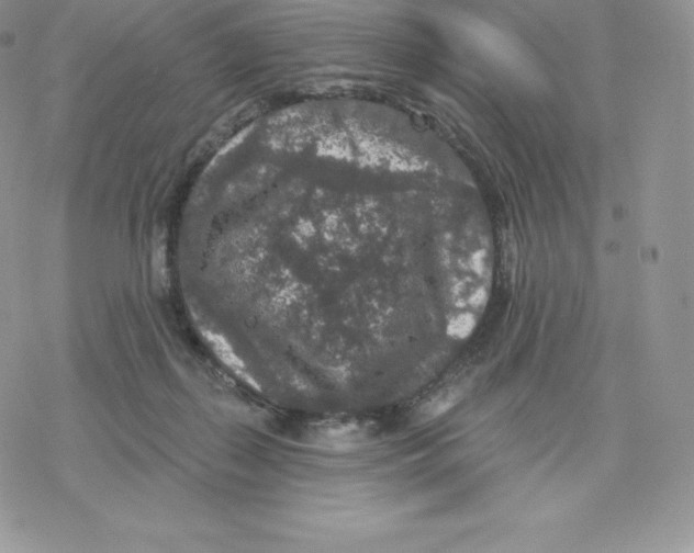 X0000077320267200611171750