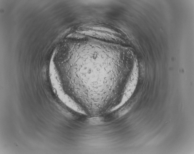 X0000077320269200611171750