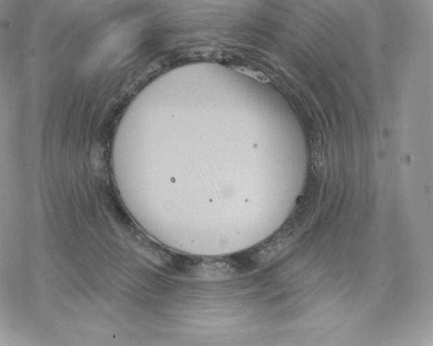 X0000077320270200611171750