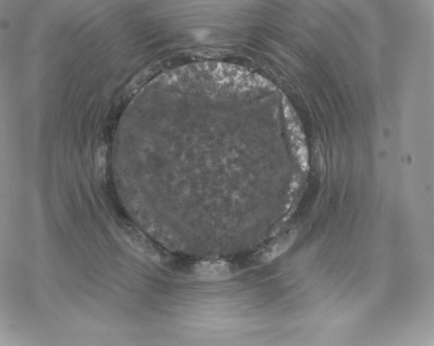 X0000077320271200611171750