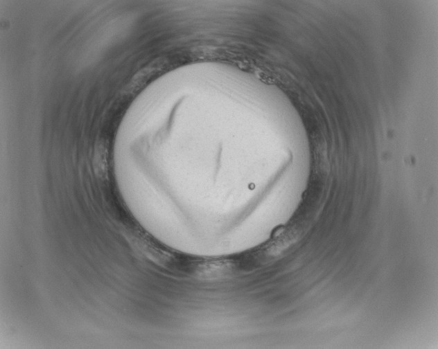 X0000077320274200611171750