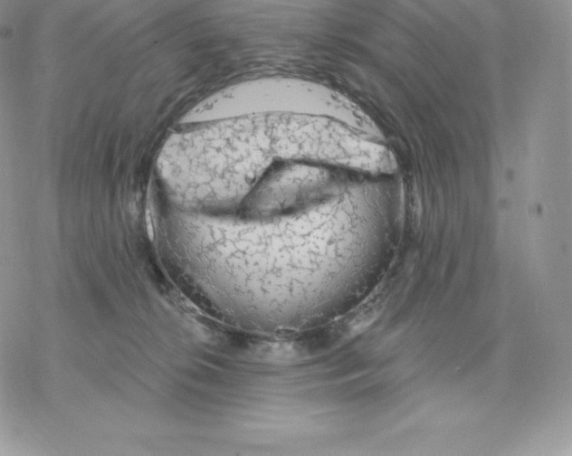 X0000077320276200611171750