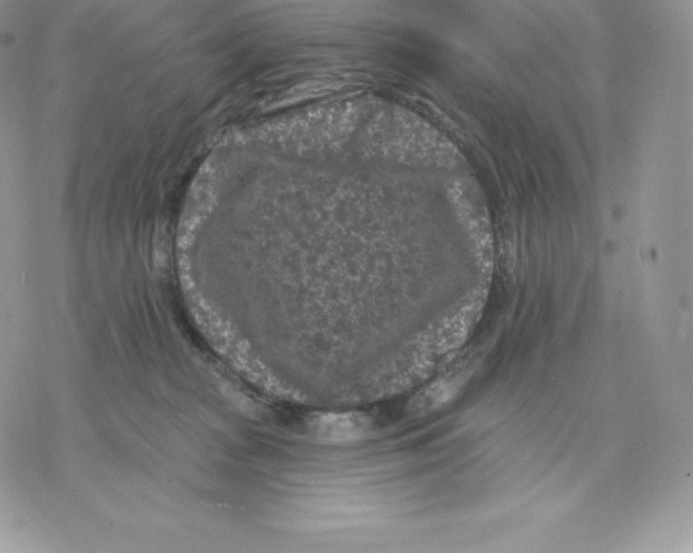 X0000077320277200611171750