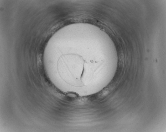 X0000077320278200611171750