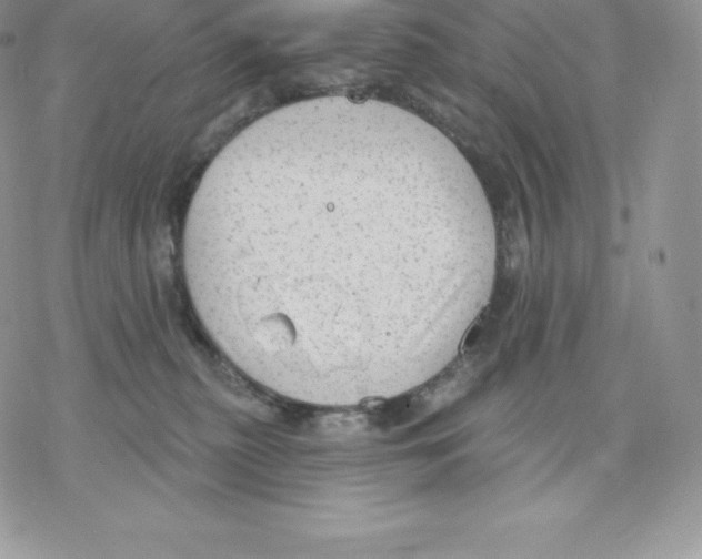 X0000077320279200611171750