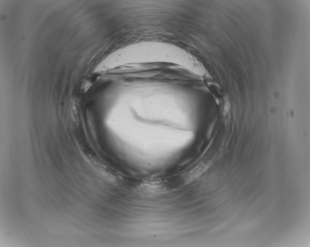 X0000077320280200611171750