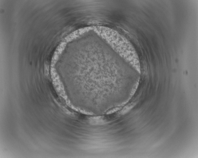 X0000077320281200611171750