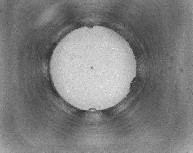 X0000077320282200611171750