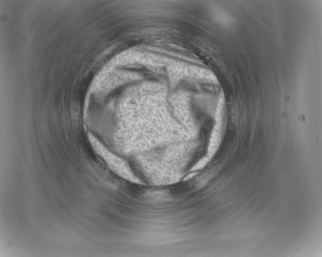 X0000077320283200611171750