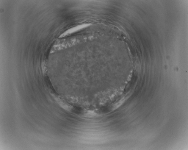 X0000077320285200611171750